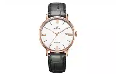 MARVIN 41mm M025.53.23.74.1