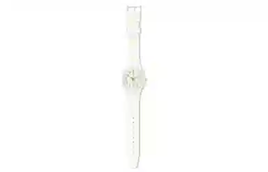 Swatch Originals GW164