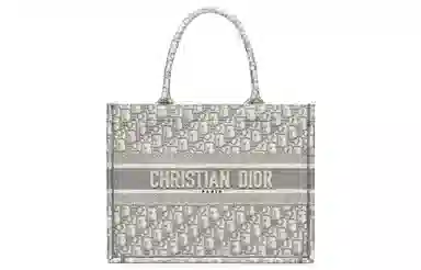 Dior Book Tote Grey