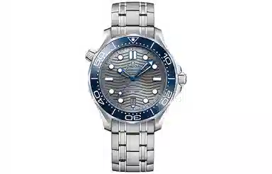 OMEGA Seamaster 210.30.42.20.06.001 Silver