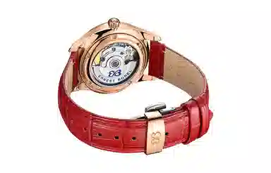 ERNEST BOREL COSC 35mm E0106B0A-MR4L