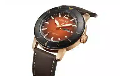 CITIZEN 44mm AW0079-13X