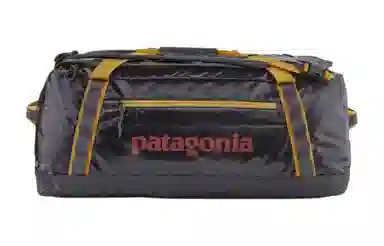 patagonia 55L Logo