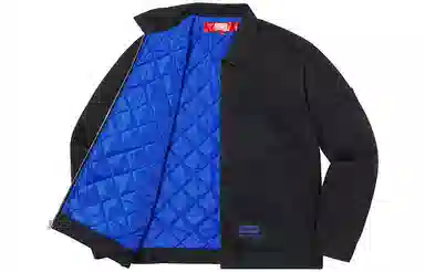 Supreme x JUNYA WATANABE COMME des GARÇONS MAN Printed Work Jacket