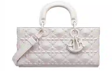 DIOR Lady D-JOY