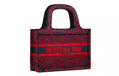 DIOR BookTote Tote