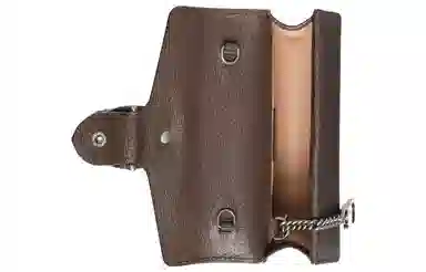 Gucci Dionysus Super Mini