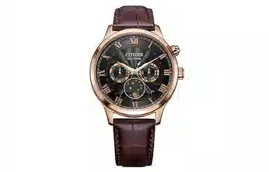 CITIZEN AP1059-19E