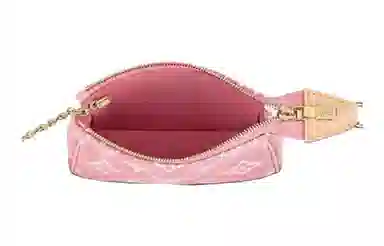 LOUIS VUITTON Pachette Accesories