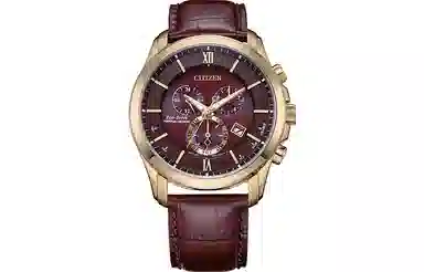 Citizen BL5548-19X