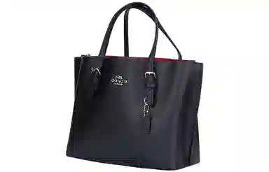 COACH Mollie 25 Tote
