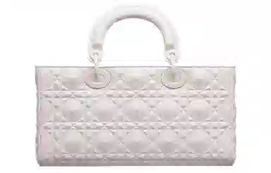 DIOR Lady D-JOY