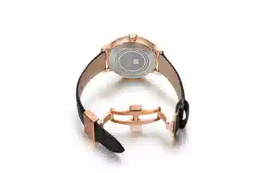 CODEX X 43mm 4301.17.0101.L01