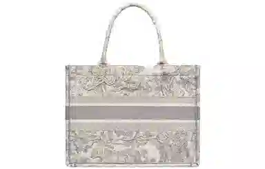 DIOR BookTote Tote