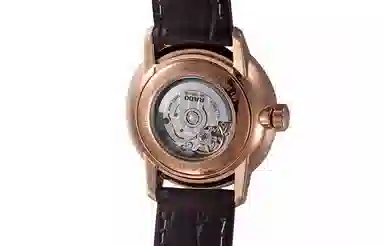 RADO 50 31.8mm R22865115