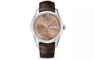 OMEGA 41mm 433.13.41.22.10.001