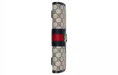 Gucci Ophidia Bag