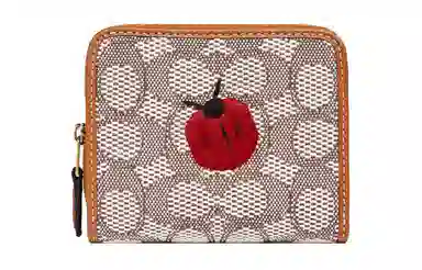 COACH Billfold Wallet 10