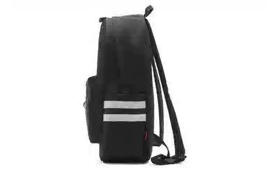 Dickies 100