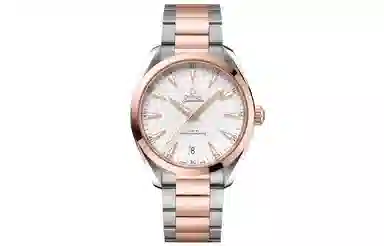 OMEGA 41mm 220.20.41.21.02.001