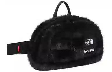 Supreme x The North Face FW20 Sling Bag
