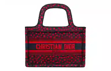 DIOR BookTote Tote