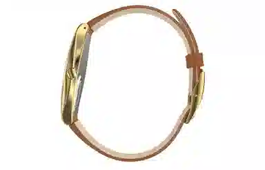 SWATCH SKIN 30 38*45.6mm SYXG104