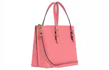 COACH Mollie 25 Tote