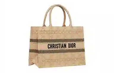 DIOR BookTote Tote