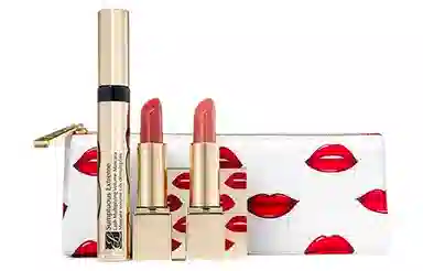 雅诗兰黛 金管口红正装睫毛膏三件套