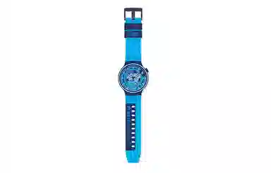 Swatch SB01N101
