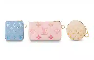 Louis Vuitton Summer Trio Wallet