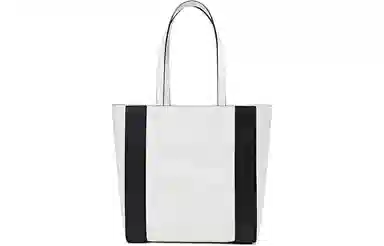 Alexander McQueen Tote