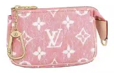 LOUIS VUITTON Pachette Accesories