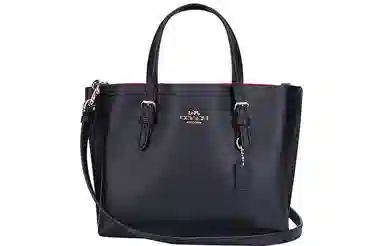 COACH Mollie 25 Tote