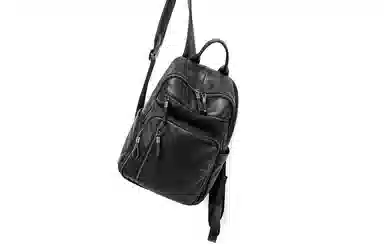 Ace Paul Travel Backpack Black