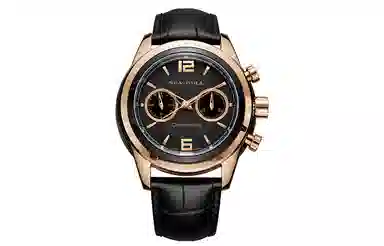 Sea-Gull 219.311-BLACK