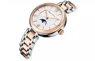 Sea-Gull 217.17.6134L-A