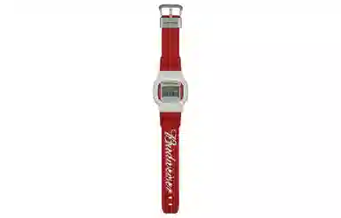 CASIO G-SHOCK DW-5600BUD20-7