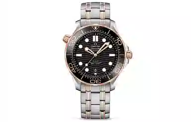 Omega Seamaster 210.20.42.20.01.001