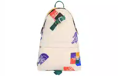 The North Face 17L Backpack