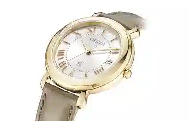 CITIZEN xc 50 33mm EO1203-03A