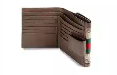 GUCCI Ophidia Logo