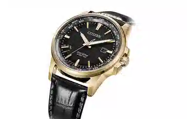 CITIZEN BX1008-12E