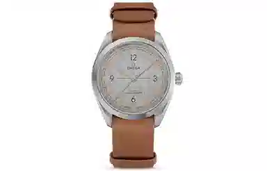 OMEGA Seamaster 220.12.40.20.06.001