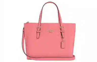 COACH Mollie 25 Tote