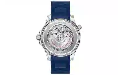 Omega Seamaster 210.32.42.20.06.001