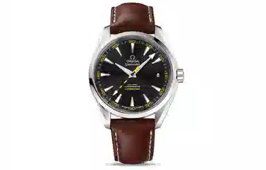 OMEGA Seamaster 231.12.42.21.01.001
