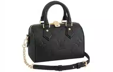 LOUIS VUITTON Speedy 20
