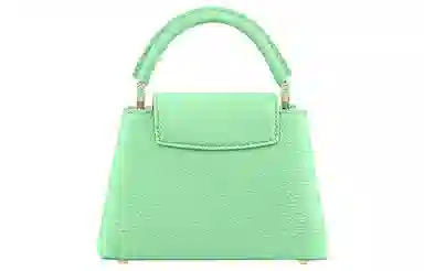 LOUIS VUITTON Capucines Taurillon